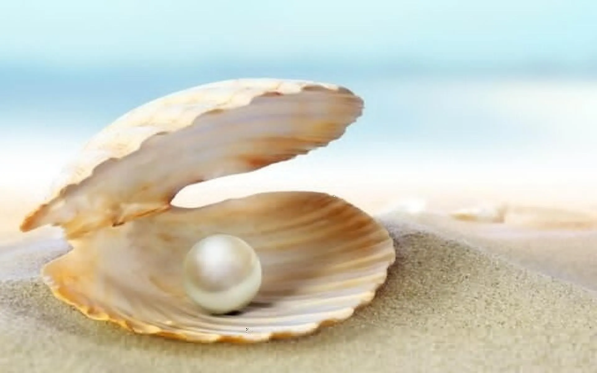Luxury Pearl